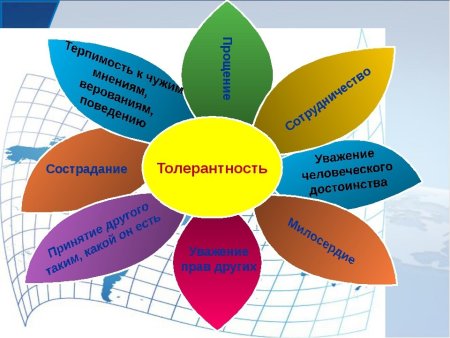 Цветок толерантности высшем качестве