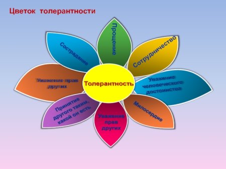 Цветок толерантности