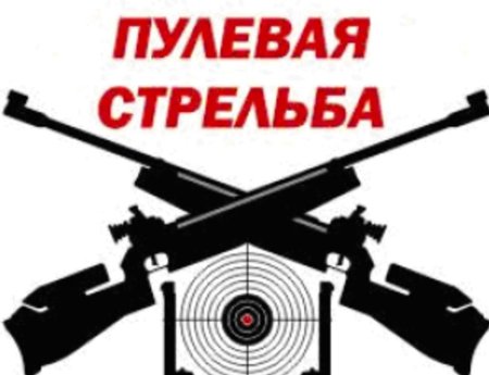 Стрельба из пневматической винтовки логотип