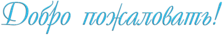 Добро пожаловать!