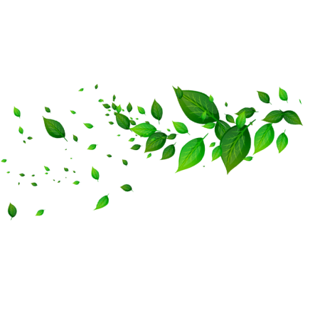 Зеленая веточка