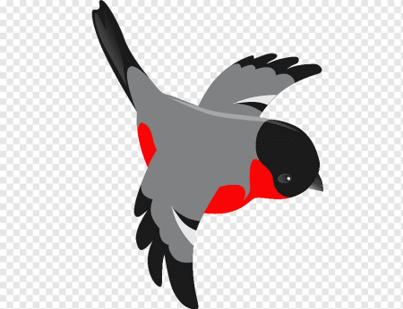 Снегирь летит