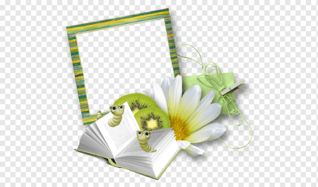 Рамка книги