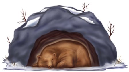 Медведь зимой в берлоге