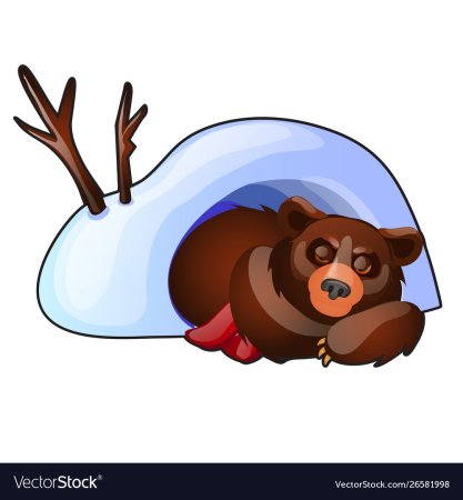 Спящий медведь вектор