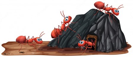 Муравейник на белом фоне