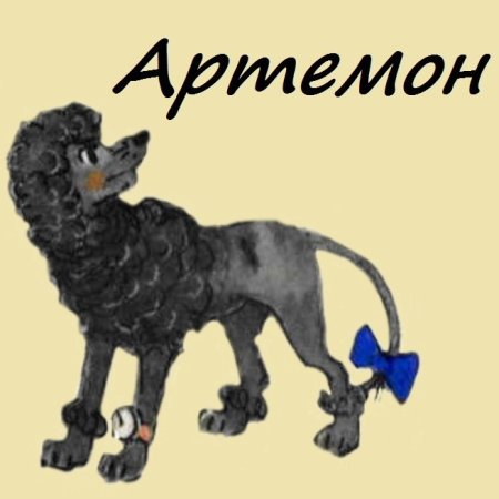 Пудель рисунок