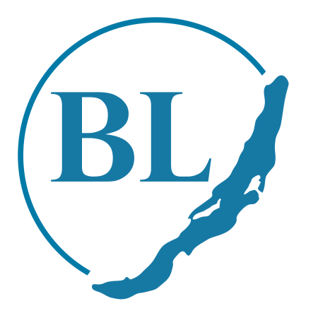 Baikal Electronics логотип