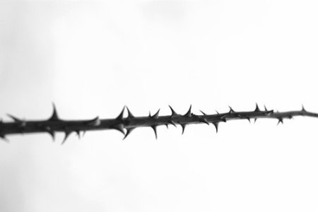 Шипы для фотошопа