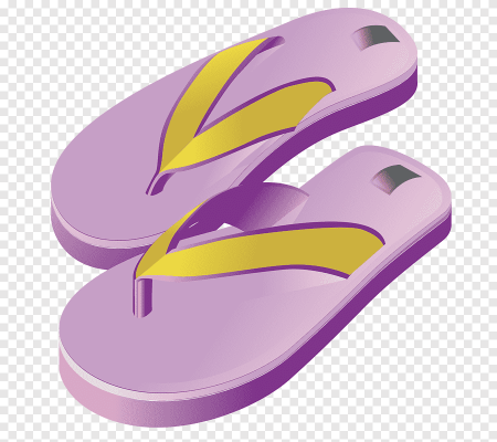 Сланцы Flip Flops