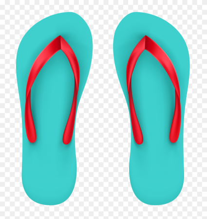 Шлепанцы Aqua Flip Flip Flops
