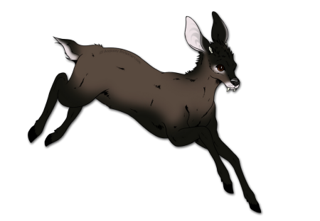 Himalayan Musk Deer