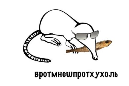 Скелет выхухоли
