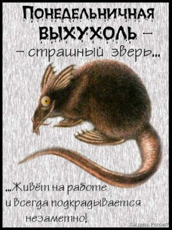 Выхухоль смешная