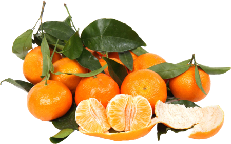 Клементин гибрид апельсина и мандарина