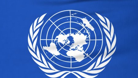 Совет безопасности ООН герб