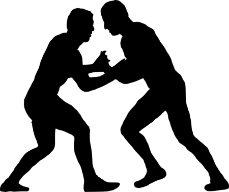 Греко Римская борьбаdtrnjh