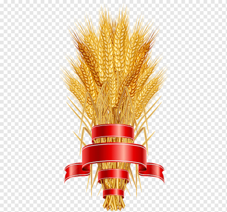 Сноп пшеницы