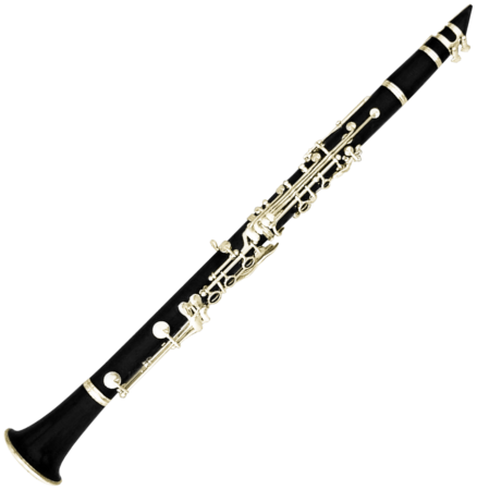 Кларнет Roy Benson CB-417
