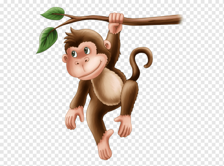 Обезьяна на прозрачном фоне