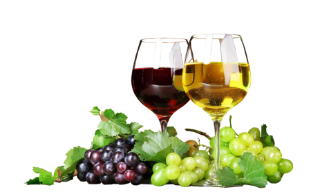 Вино и виноград
