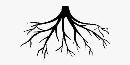 Корни вектор