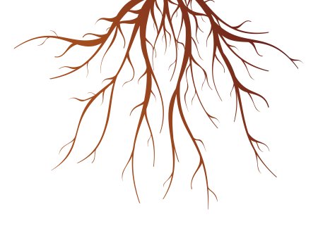 Корни без фона