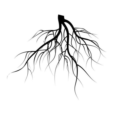 Корни Графика