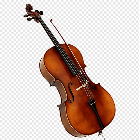 Violin Viola Cello Double Bass
