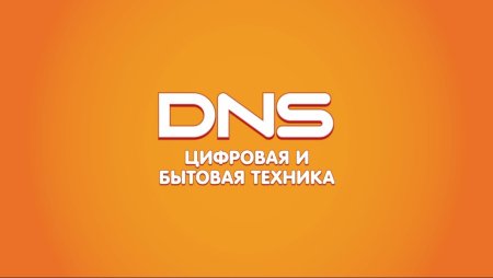 Логотип фирмы ДНС
