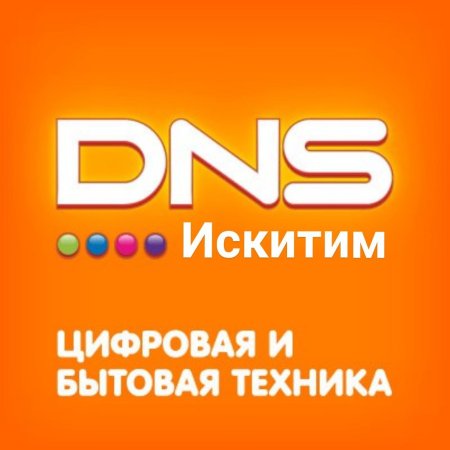 ДНС логотип