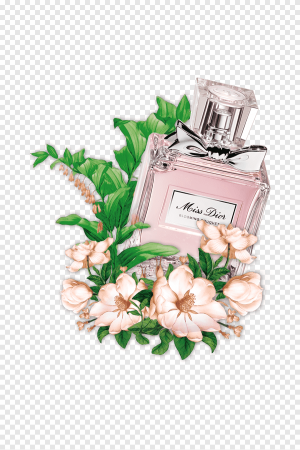 Духи диор рисунок