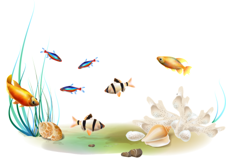 Морское дно на белом фоне