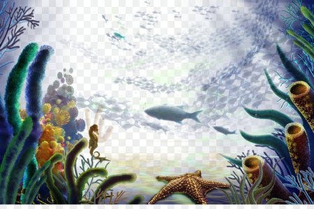 Морское дно на прозрачном фоне