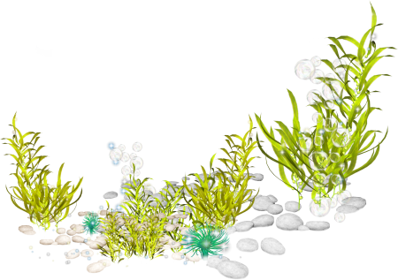 Морские водоросли на прозрачном фоне