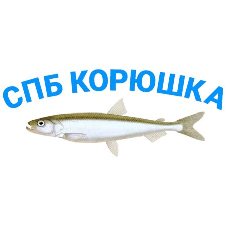 Корюшка тату