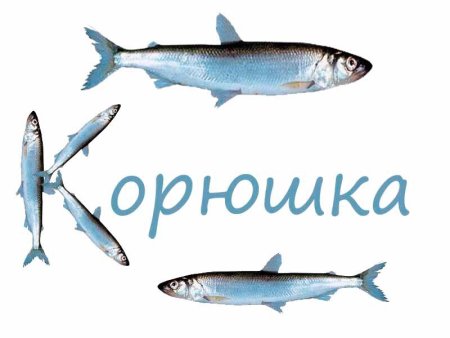 Схематичное изображение рыбы