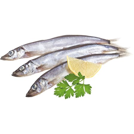 Раскраска рыба корюшка