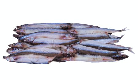 Osmerus eperlanus- снеток