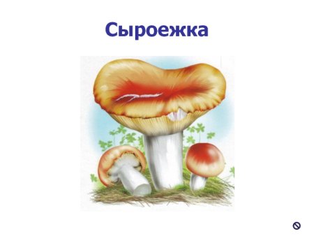 Гриб сыроежка для детей