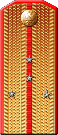 Погоны МВД Капитан полиции