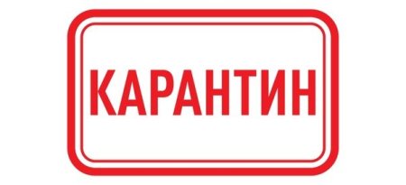Карантин печать