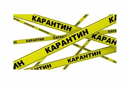 Желтая лента карантин
