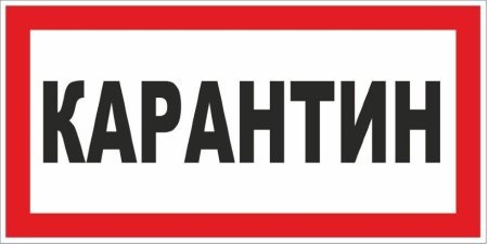 Карантин рисунок