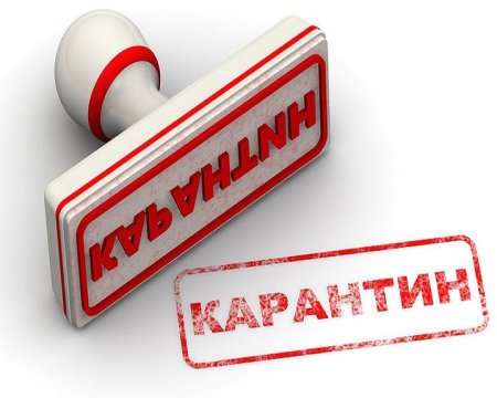 Геморрагическая лихорадка Марбург
