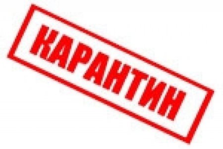 Карантин иллюстрация