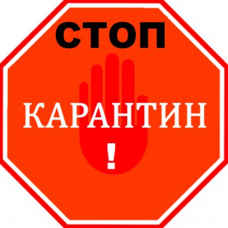 Надпись карантин