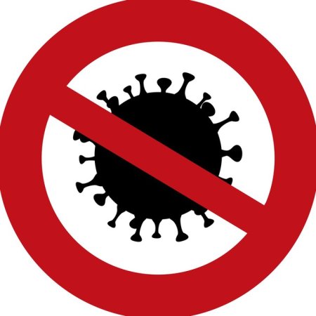 Работаем удаленно карантин