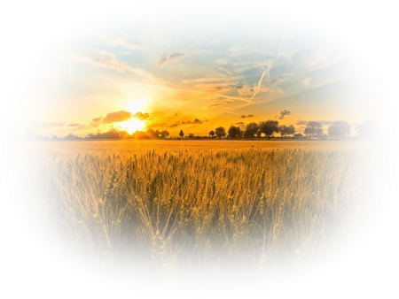 Закат солнца