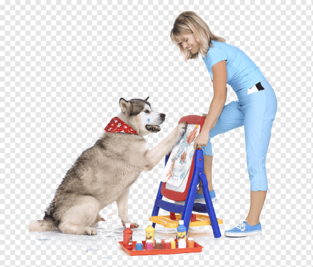 Дрессура PNG